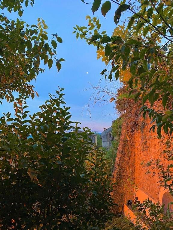 La Cadelle Βίλα Cotignac Εξωτερικό φωτογραφία